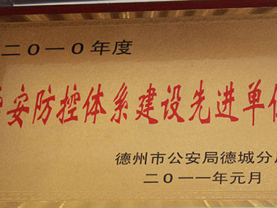 2010年度治安防控体系建设先进单位 